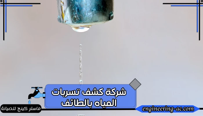 شركة كشف تسربات المياه بالطائف