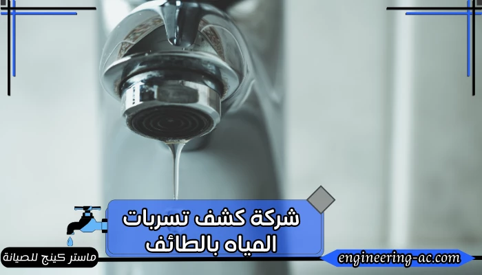 شركة كشف تسربات المياه بالطائف